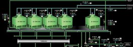 Expansão da Fábrica e Implantação da Cogeração 50 MW Expansão da Fábrica e Implantação da Cogeração 50 MW